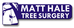 Matt Hale